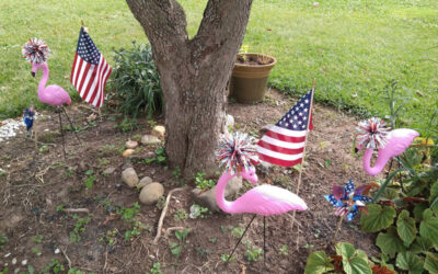 A Red, White and Bluegrass July 4th