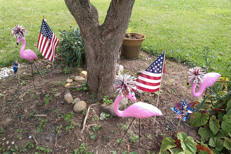 A Red, White and Bluegrass July 4th